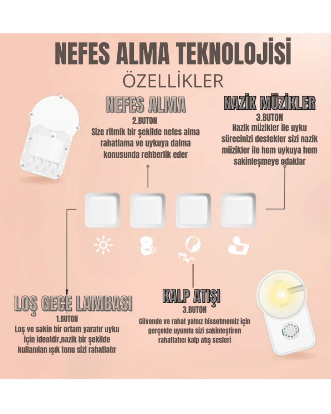 Destek Koalası